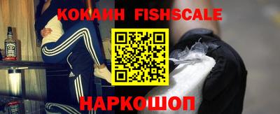 дмт Тара