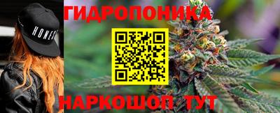 молекула духа Тверь
