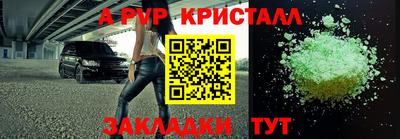 молекула духа Тверь