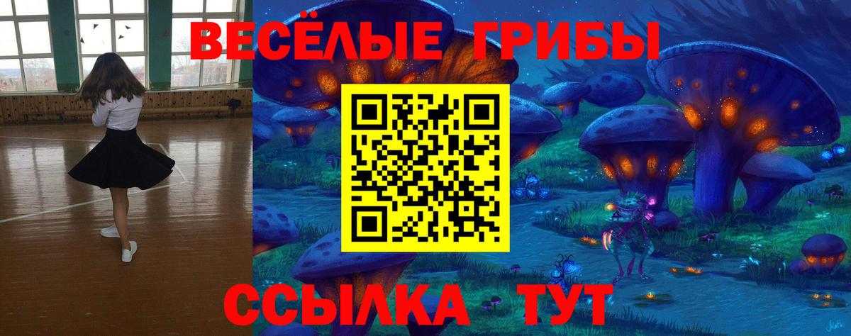 Белово  Псилоцибиновые грибы Psilocybe  Вход с VPN 
